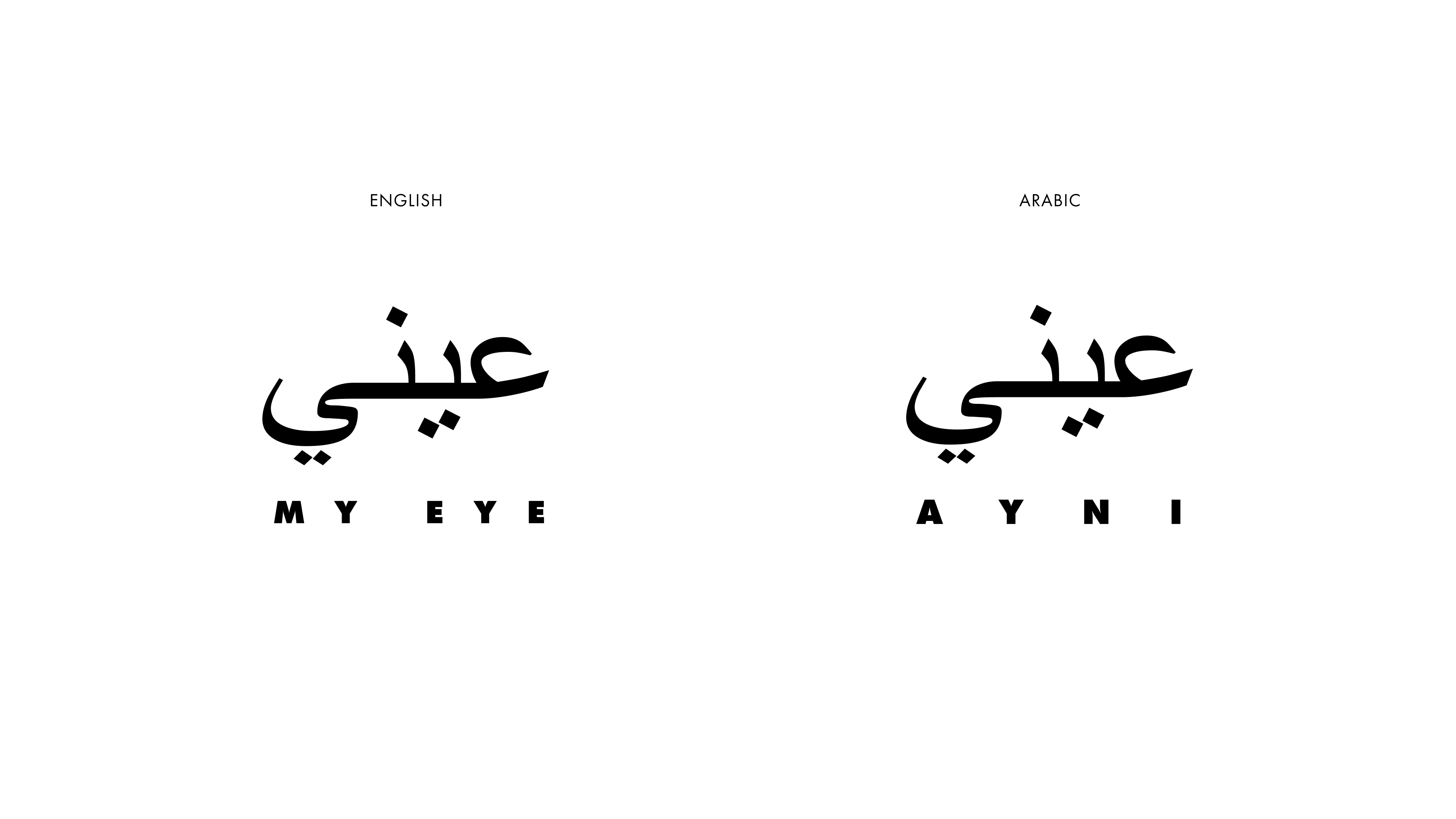 AYNI project image 3
