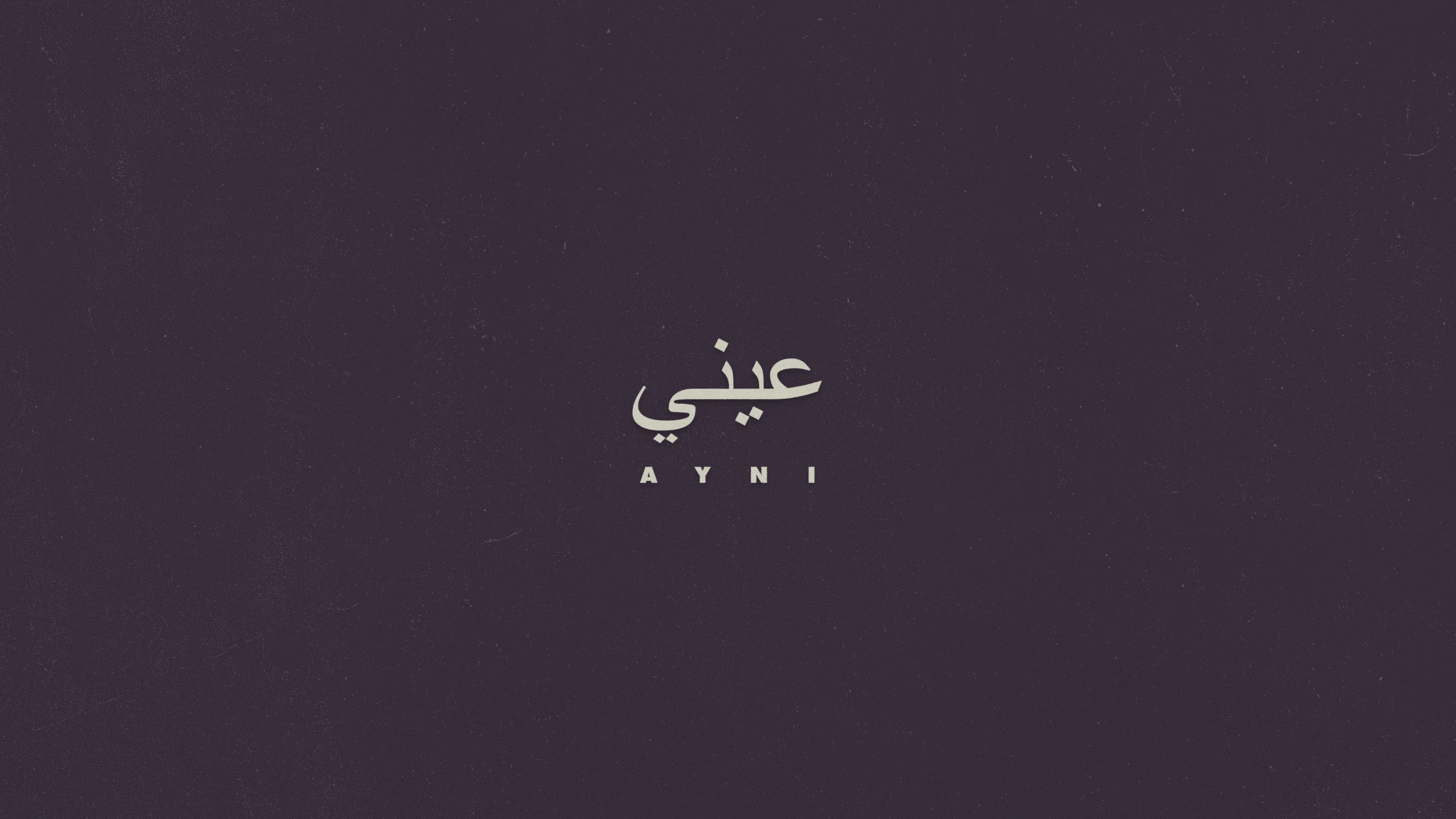 AYNI logo on a subtle dark textured background
