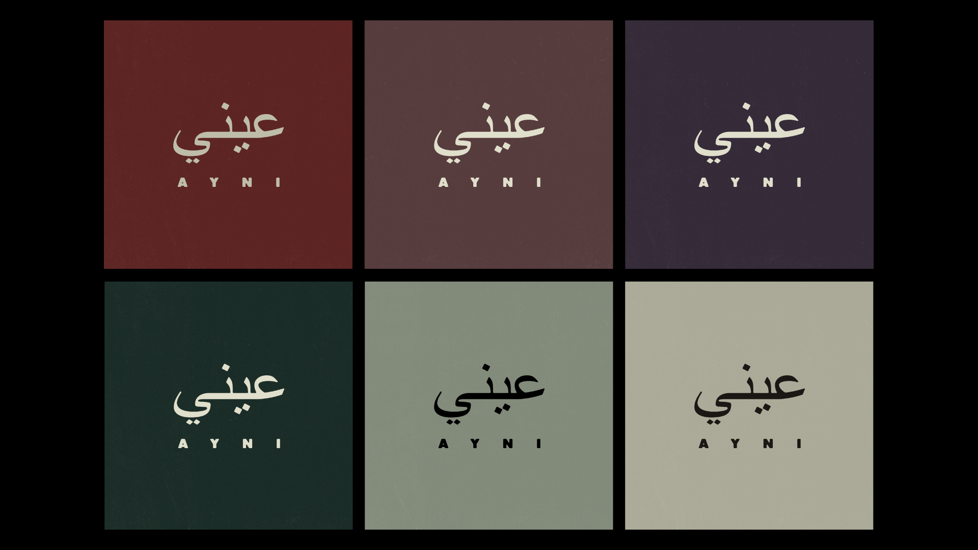 AYNI logo color variations